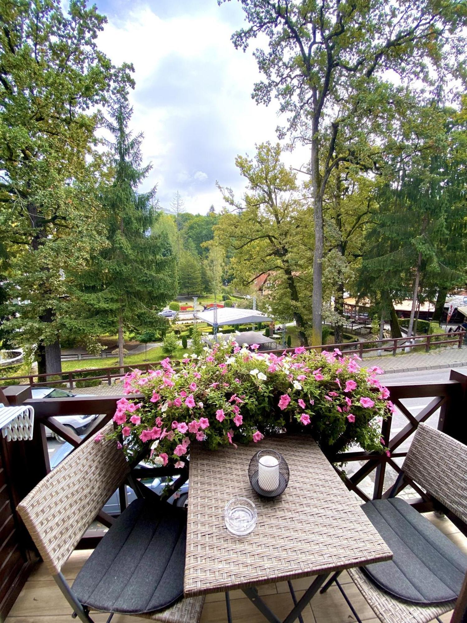 Bed and Breakfast Amethyst Sovata Exterior foto